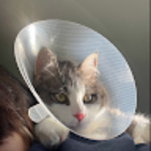 Meet your Posher, Karena